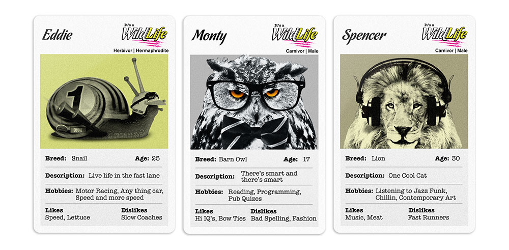 playing cards, It's A WildLife, brand creation, retail brand, Form Advertising